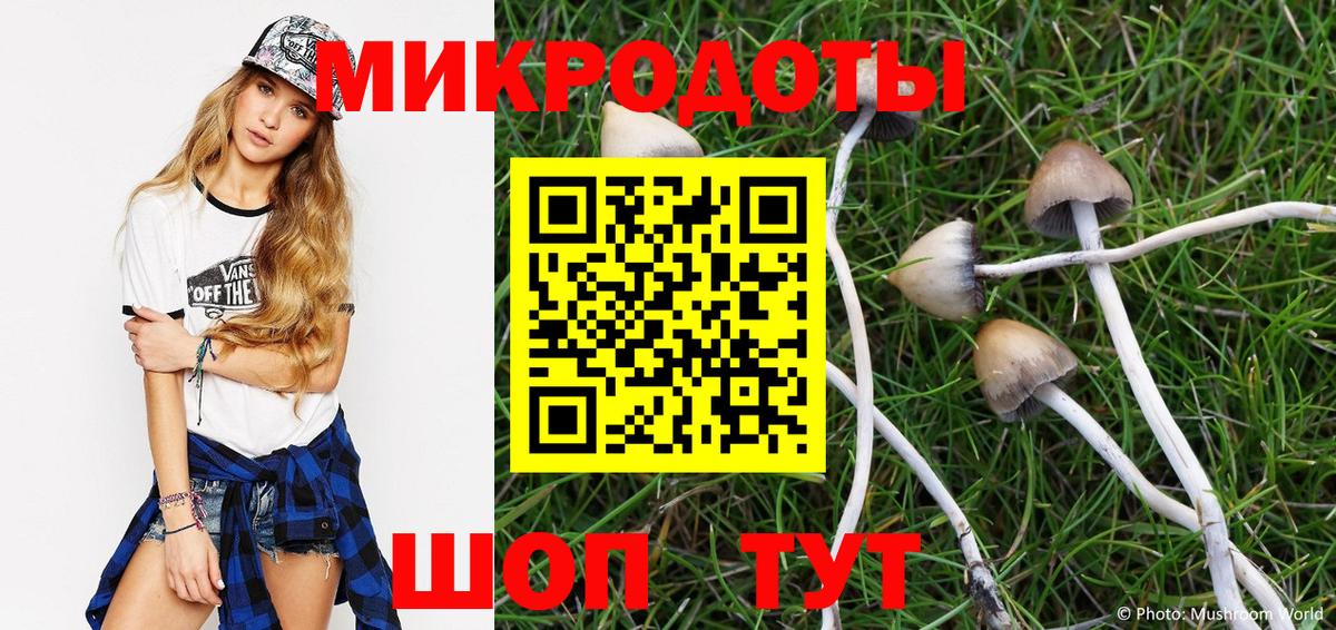 Галлюциногенные грибы мухоморы  Галлюциногенные грибы GOLDEN TEACHER  Вход с VPN  Ессентуки 